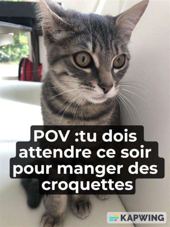 Mark Sourian Net Worth