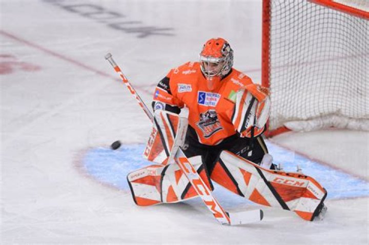 Matt Greenfield Net Worth