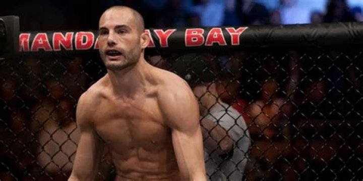 Mike Swick Net Worth