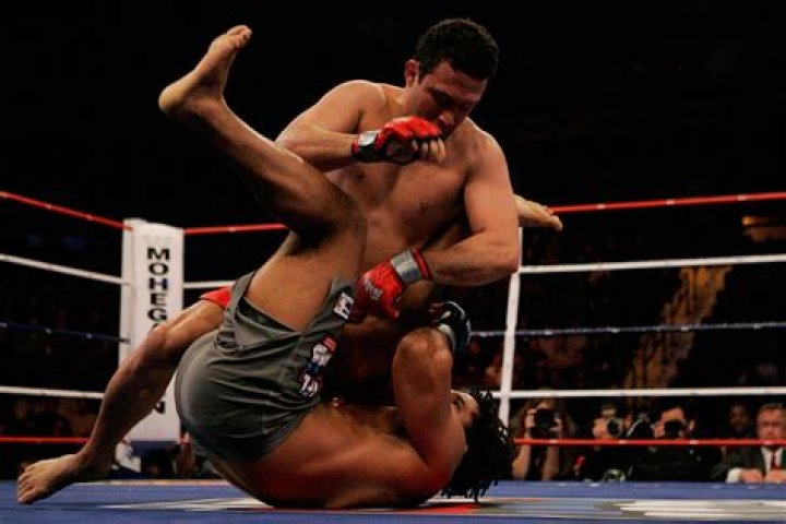 Renzo Gracie Net Worth