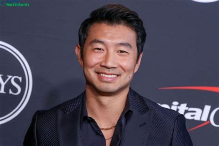Simu Liu Net Worth