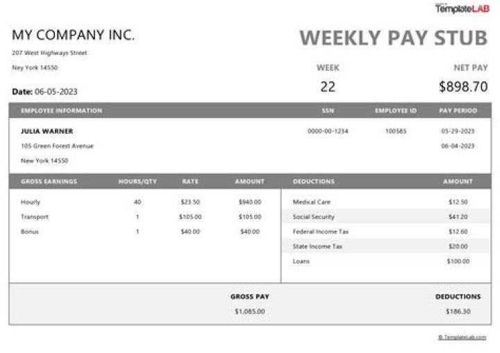 Sister Bliss Net Worth, Income, Salary, Earnings, Biography