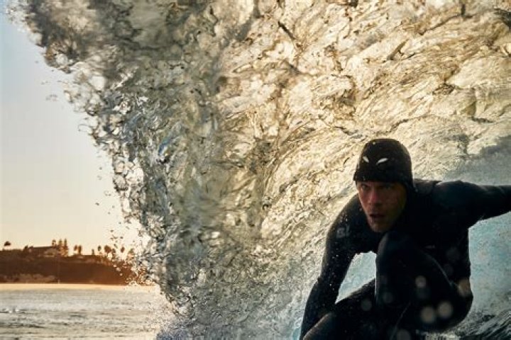 Steven Lippman Net Worth