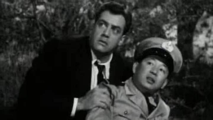 Terry O. Morse Net Worth