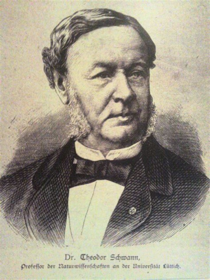 Theodor Schwann