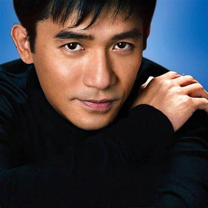Tony Leung Chiu Wai Net Worth