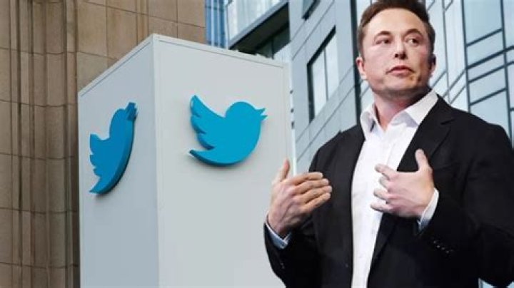 
Twitter to Lay Off Several Employees Over Email amid Elon Musk Takeover: Reports 