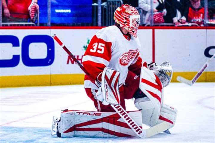 Ville Husso Girlfriend Or Wife, Goaltender Relationship Timeline Described