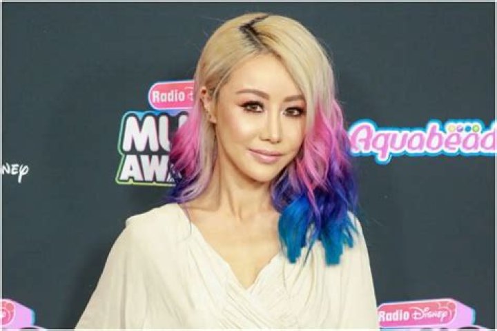 Wengie Net Worth