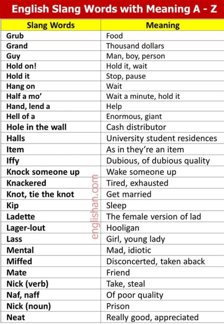 What Does 1488 Mean In Urban Dictionary? Jogger Slang and Slur Meaning Explained