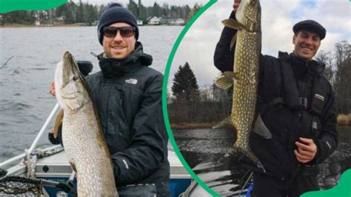 Where Is Hjalmar Rechlin Now? Frida Gustavsson Ex Husband – Why Did They Split?