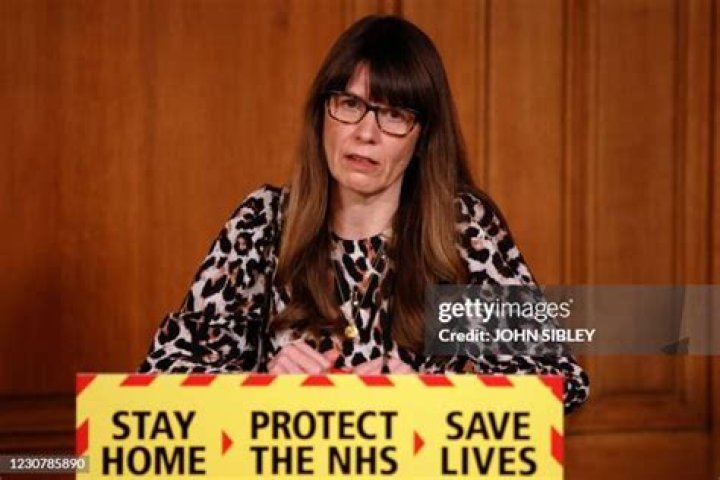 Who Is Dr Susan Hopkins? Everything To Know About The Healthcare Epidemiologist