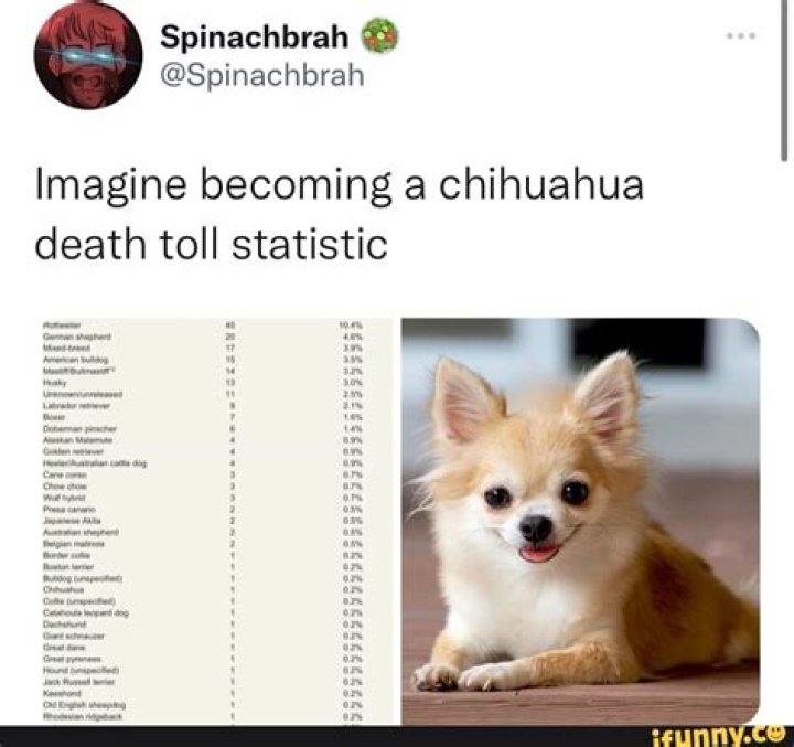 Who Is Judith Carmona Missionary Chihuahua? Death Hoax Or Truth?