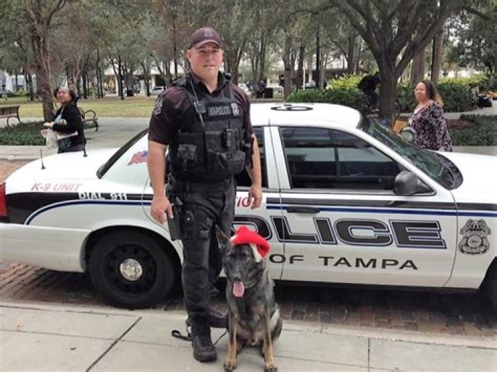 
Who Is Stanley Clerveaux? Off-duty Tampa Police Officer Arrested 