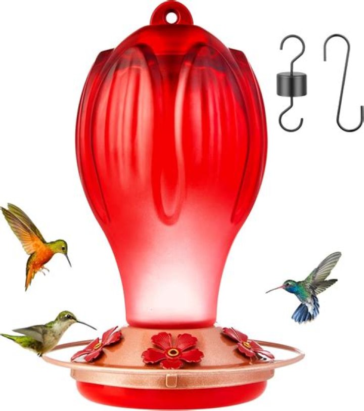 Why did the hummingbirds stop coming to my feeders