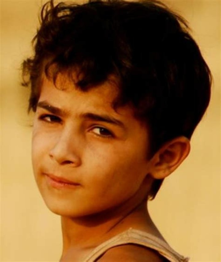 Zamand Taha Net Worth